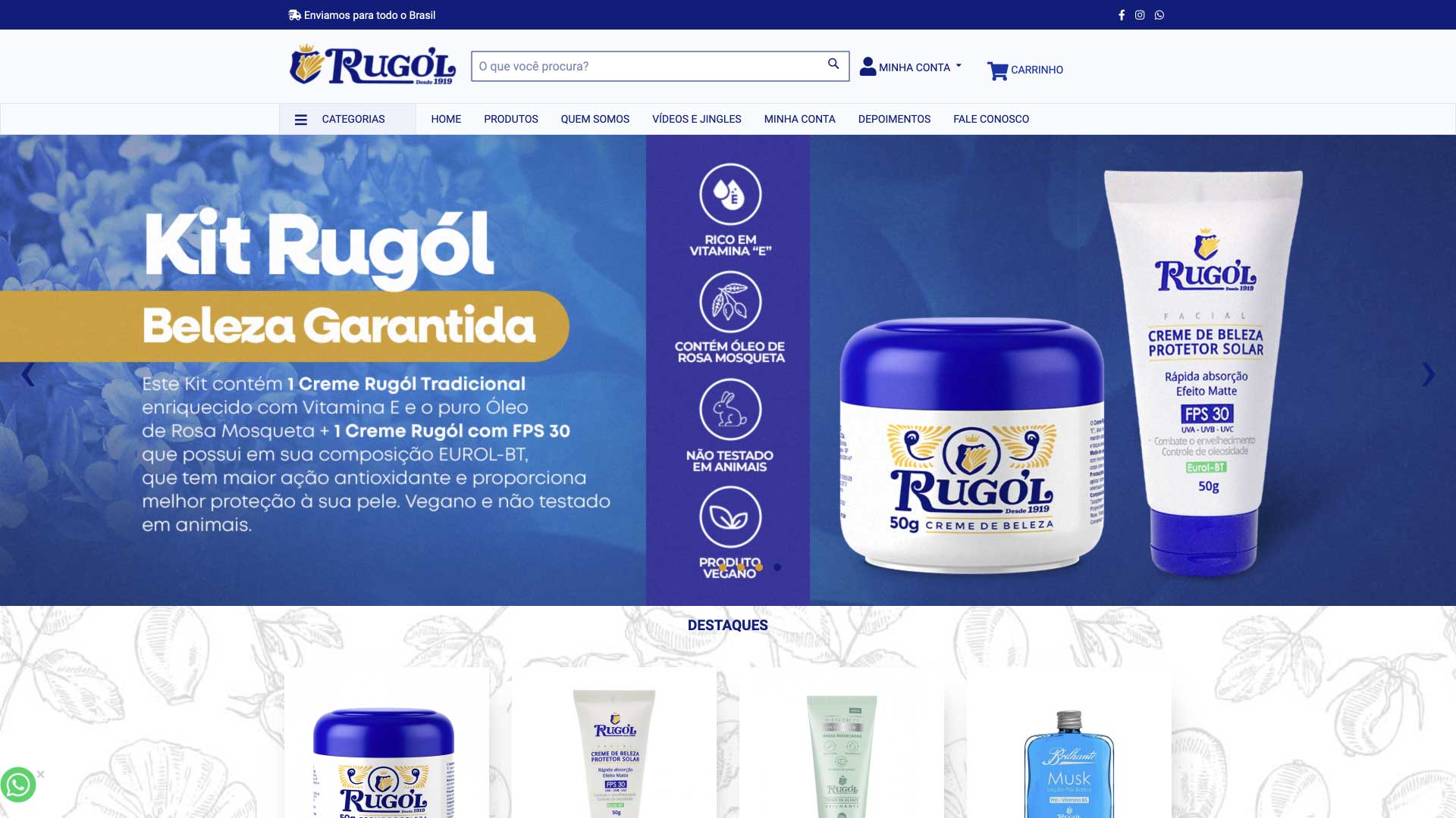 Desenvolvimento de Sites - Rugol