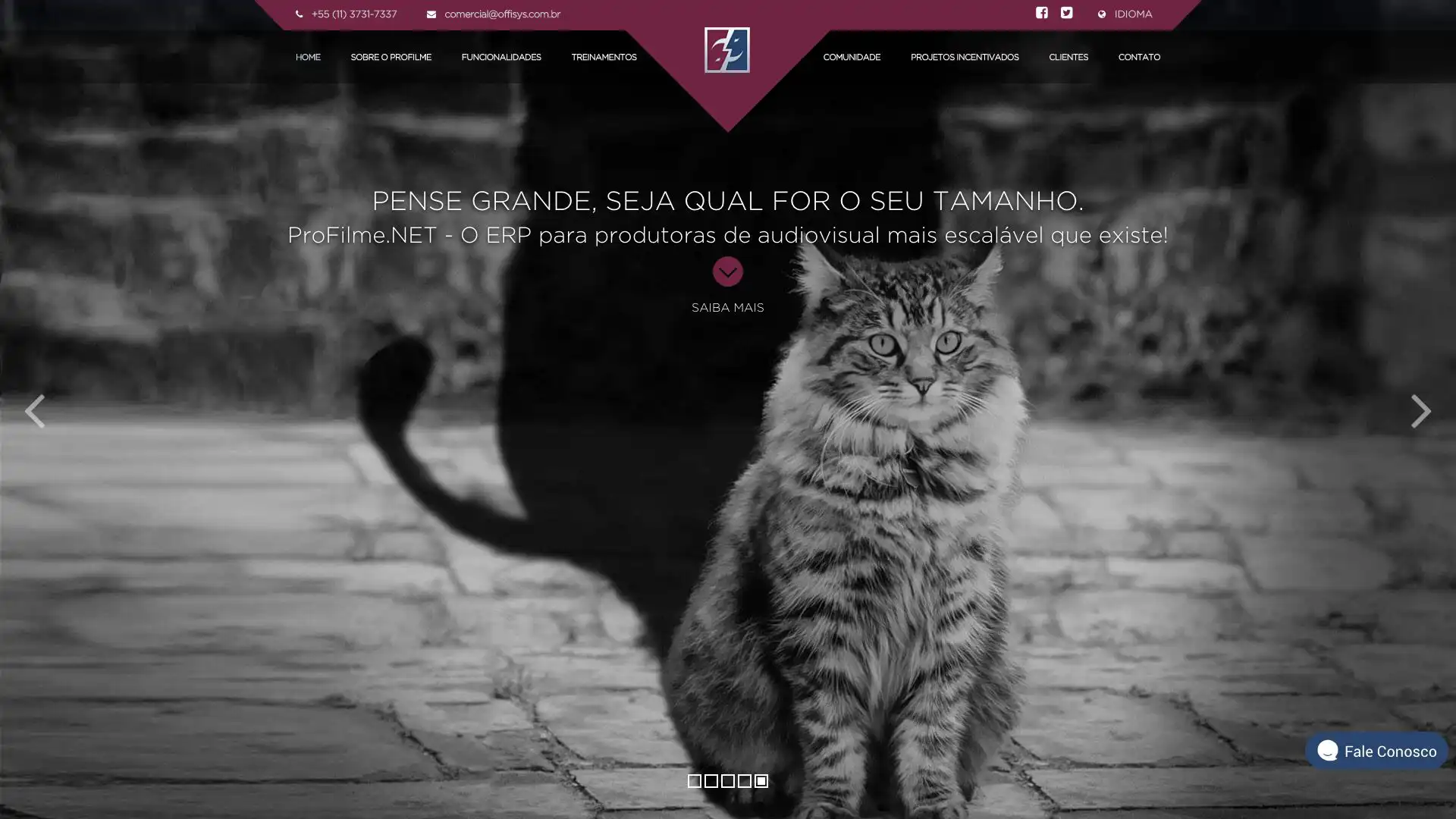 Site para desenvolvedora de software - Profilme