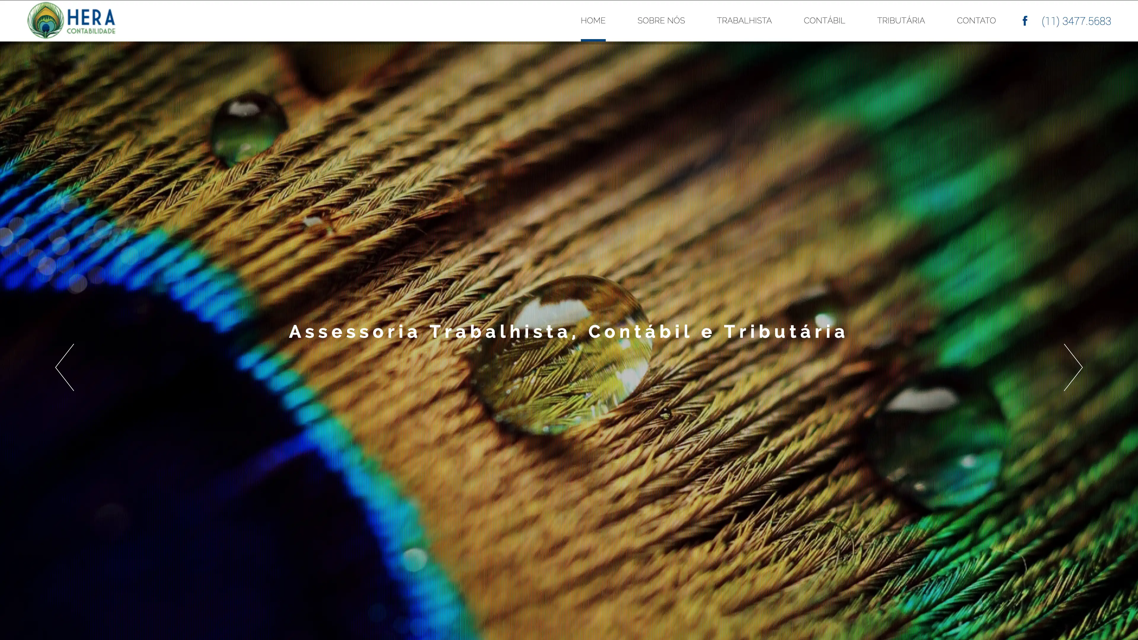 Site para empresa de contabilidade e assessoria - Hera Contabilidade