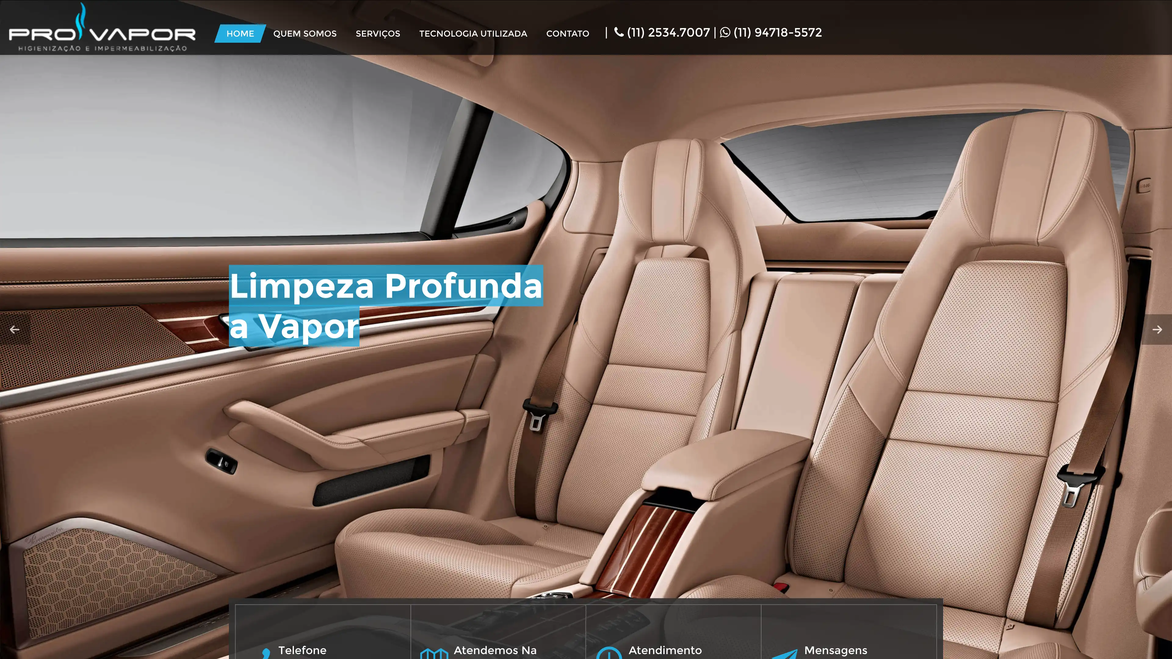 Site para empresa de higienização e limpeza - Pro Vapor